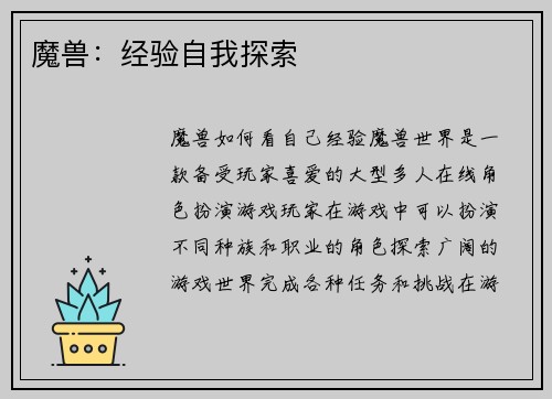 魔兽：经验自我探索